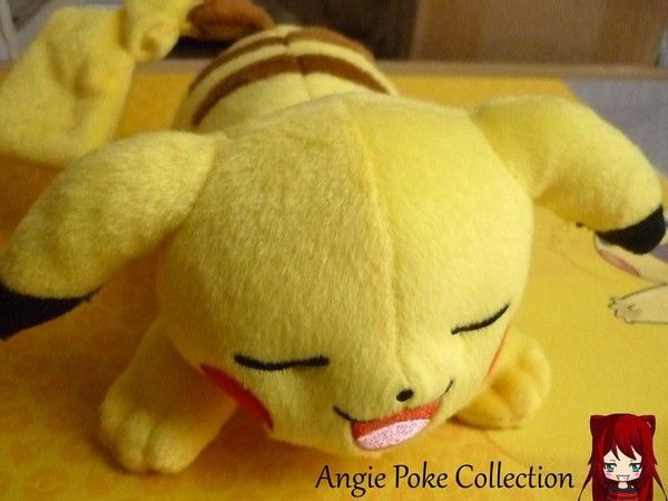 Carapuce - objet Peluche Pokémon Tomy